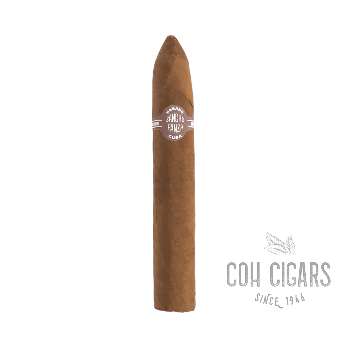 Belicosos  | 5 Pack | Sancho Panza Cigar